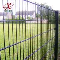 Decoration see through powder coated double wire fence