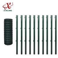 Welded euro holland wire mesh fence with competitive price